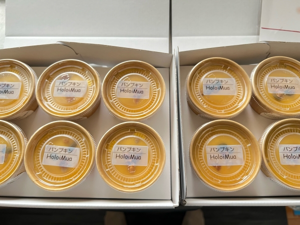 パンプキンのローアイス12個